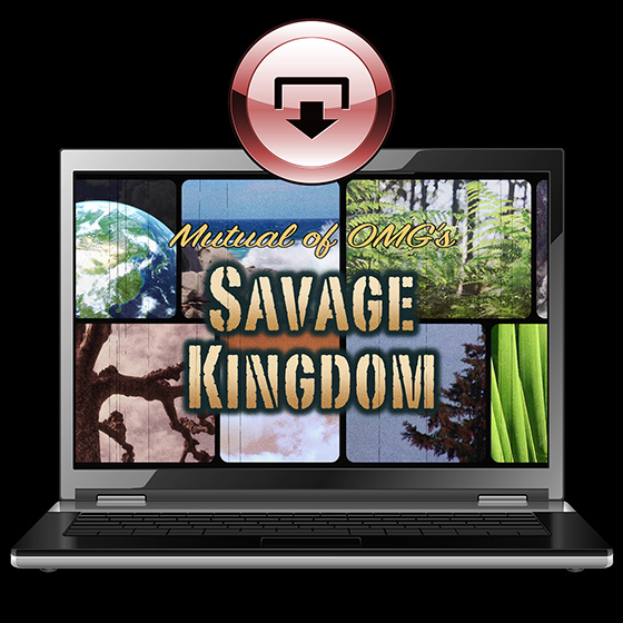 RubberZone.com - View Mailing