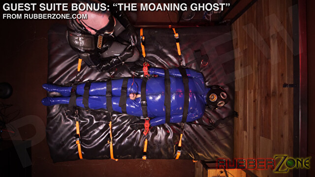 Guest Suite Bonus